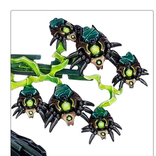 Scarabées